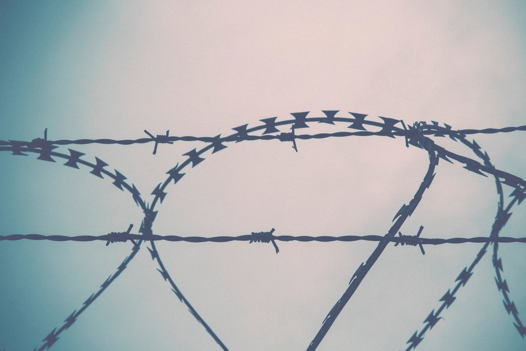 Close-up of barbed wire on a security fence