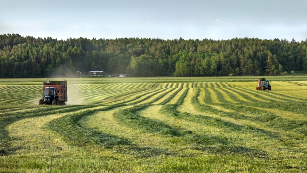 Tennessee lets farmers and loggers use dyed diesel on roads in October